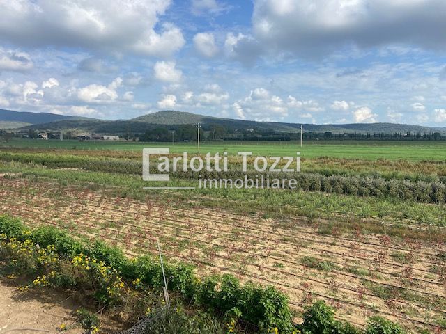COLONICA in VENDITA a GROSSETO - BAGNO ROSELLE COLONICA in VENDITA a GROSSETO - BAGNO ROSELLE